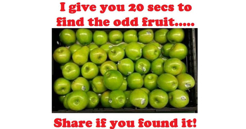 find-the-odd-fruit-in-20-secs